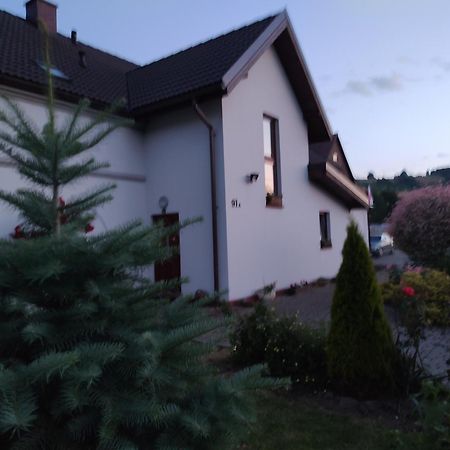 Agroturystyka "U Kasi" Scinawka Gorna Exterior photo