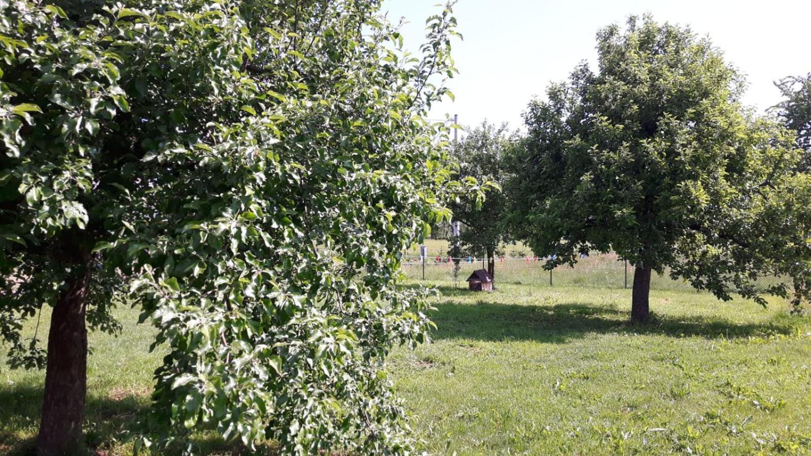 Agroturystyka "U Kasi" Scinawka Gorna Exterior photo